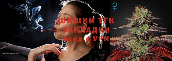 эйфоретик Корсаков
