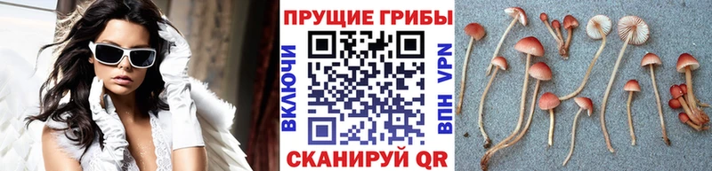 Галлюциногенные грибы Magic Shrooms  Называевск 